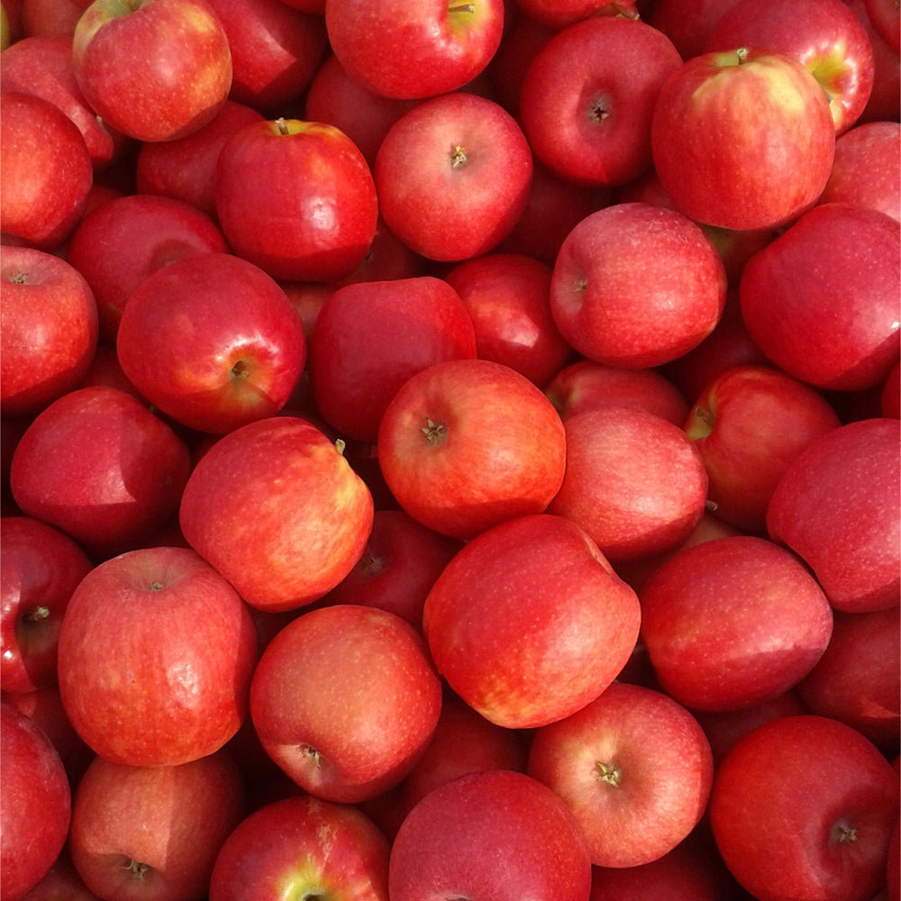 Apples - Pink Lady (6 per bag)
