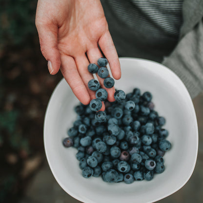 Blueberries (per punnet)