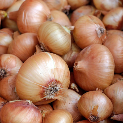 Brown onions (per kg)