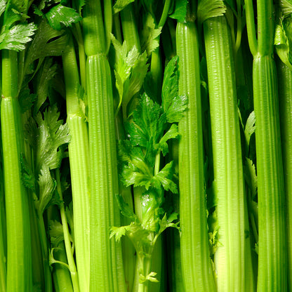 Celery (per bunch)