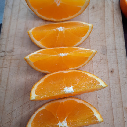 Oranges - Valencia per piece
