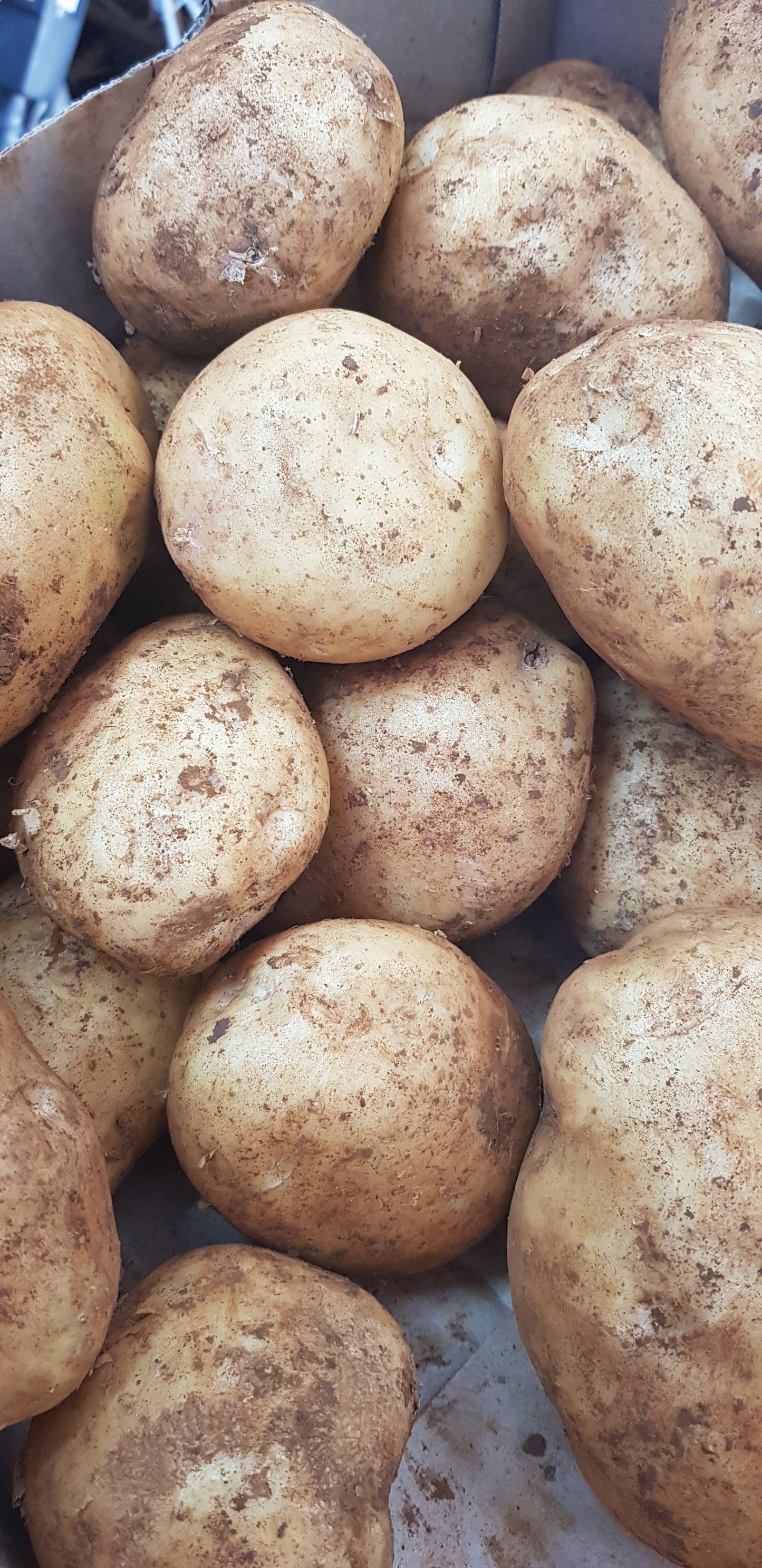 Potatoes - brushed per kg