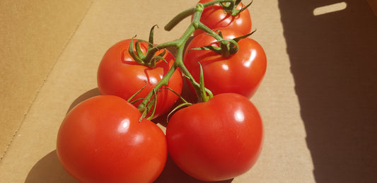Truss tomatoes - 500g